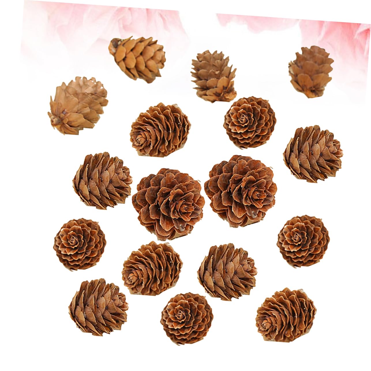 MAGICLULU 210piezas Piñas Naturales Secas de Decoraciones Hogar para Acción de Gracias y Navidad Adorno Vegetal