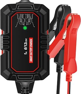 Sailnovo 1000mA Smart Battery Charger,6V 12V Fully Automatic Battery Maintainer Trickle Charger 10-Stages 14.6 Volt LiFePO4 Battery Charger for Motorcycle Car Lawn Mower Boat Marine Lead Acid Battery