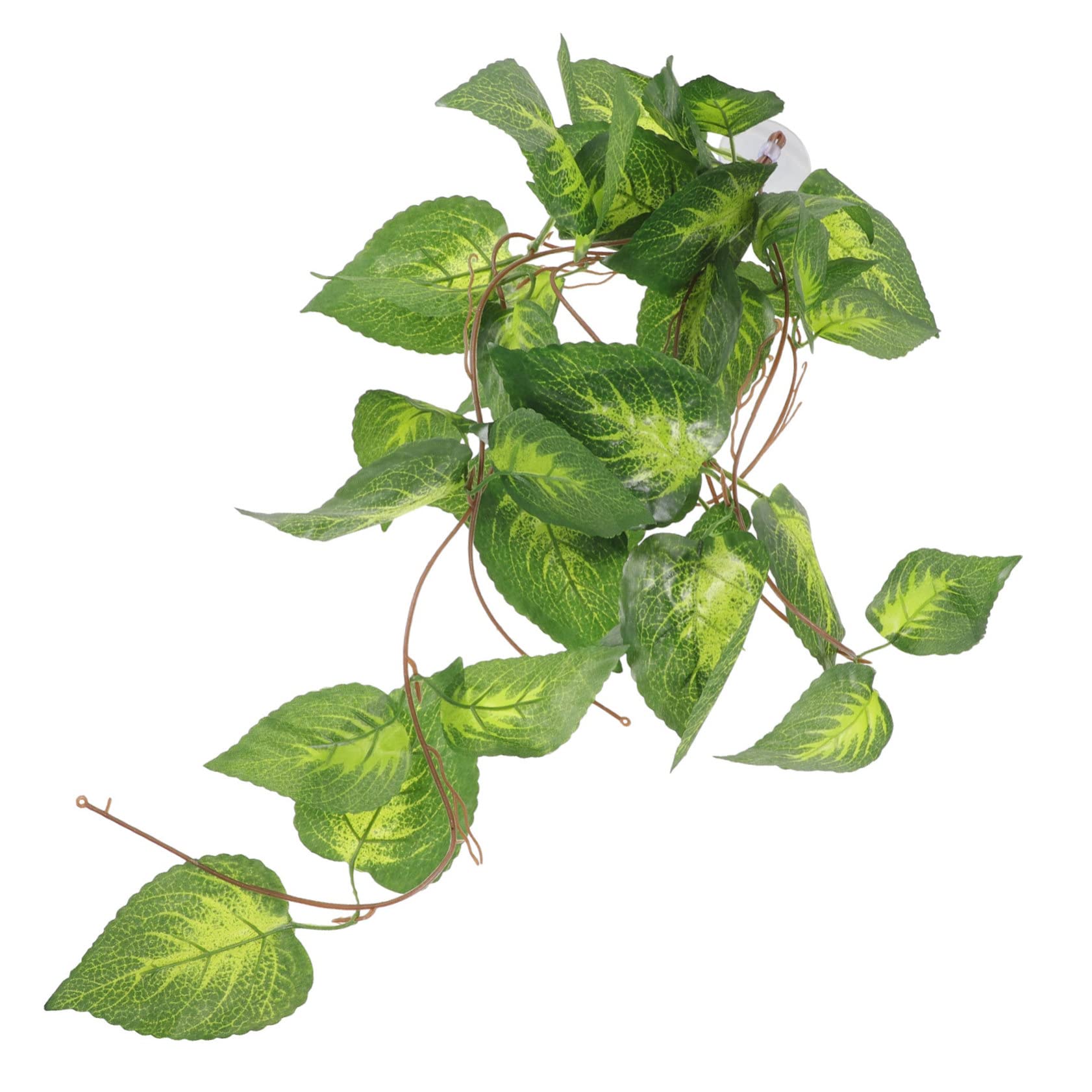 Supvox 5stücke Künstliche Terrarium Pflanze Für Reptilien Lebensnahe Dekoration Für Terrarien Aquarien Und Wohnräume Plastikpflanze Mit Lebendigen Farben Für Eidechsen Schlangen Und