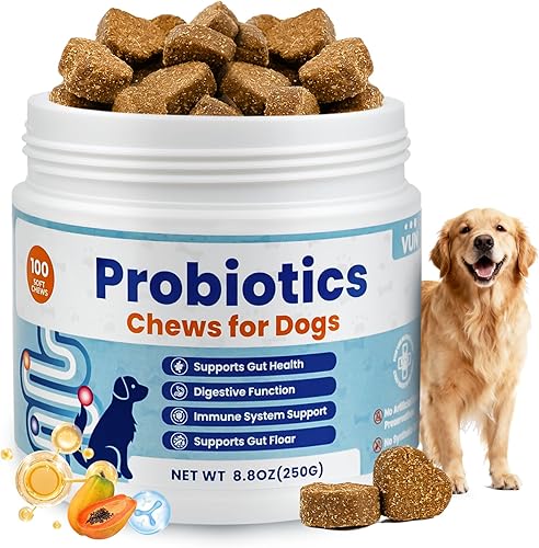 Probióticos para perros, suplementos de apoyo digestivo, salud intestinal, flora, probióticos masticables suaves para perros para malestar