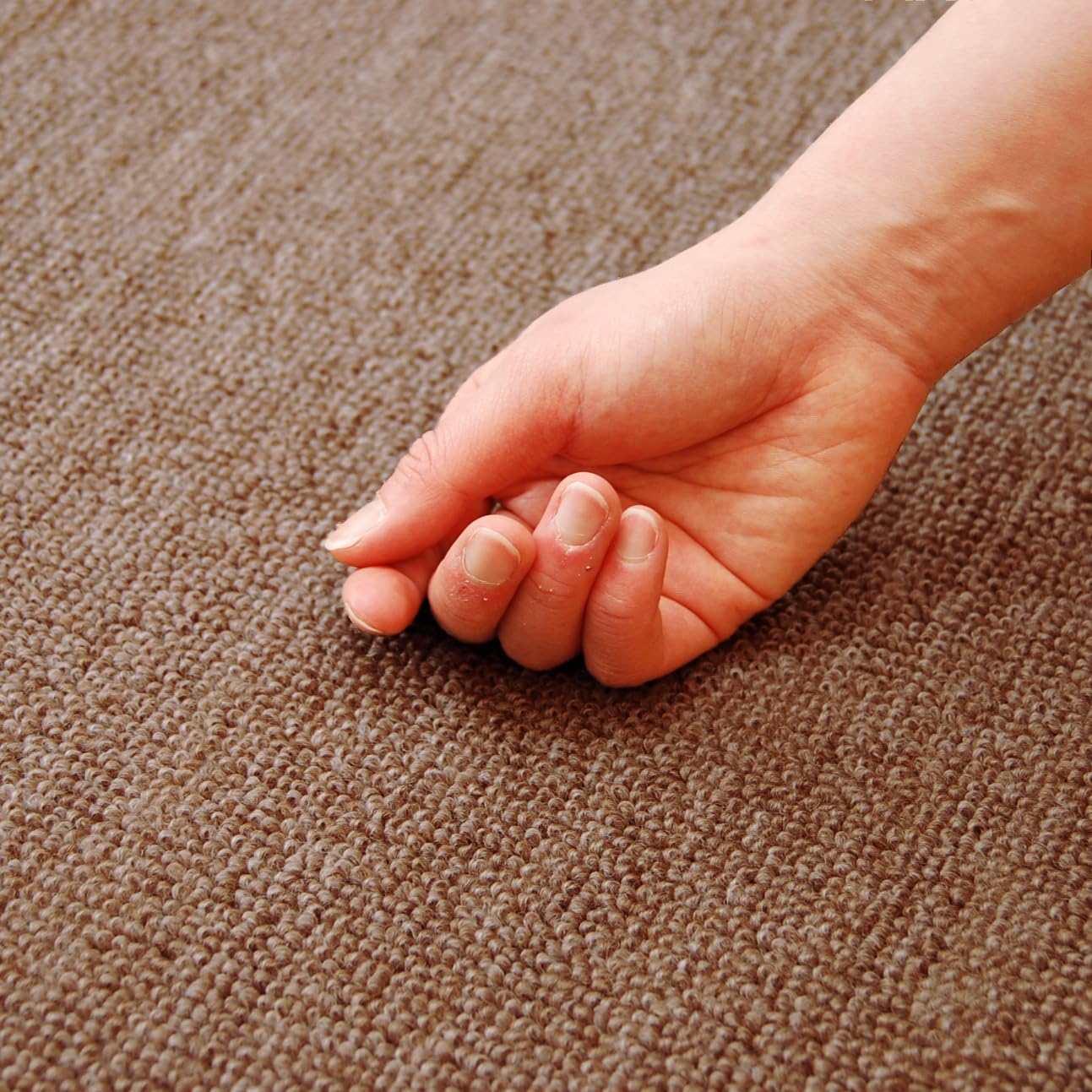 Amazon | 日本製 カーペット 本間3畳 防炎 ウール混 ナチュラル