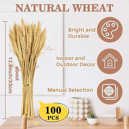 Miniatura 14 de Sukh Tallos de trigo seco rosa para decoración, 50 tallos de trigo rosa, ideales para el hogar, mesa de boda, centros de mesa de fiesta, decoración