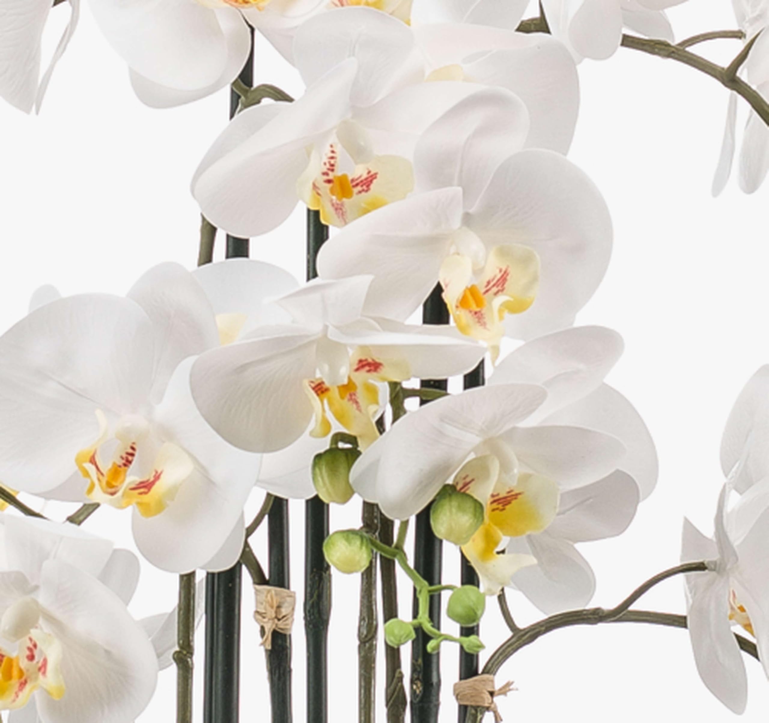 artplants.de Phalaenopsis knstlich Cecile, Keramiktopf, wei, 100cm -  Kunst Orchidee im Topf/Kunstblume Orchidee : Amazon.de: Kche, Haushalt &  Wohnen