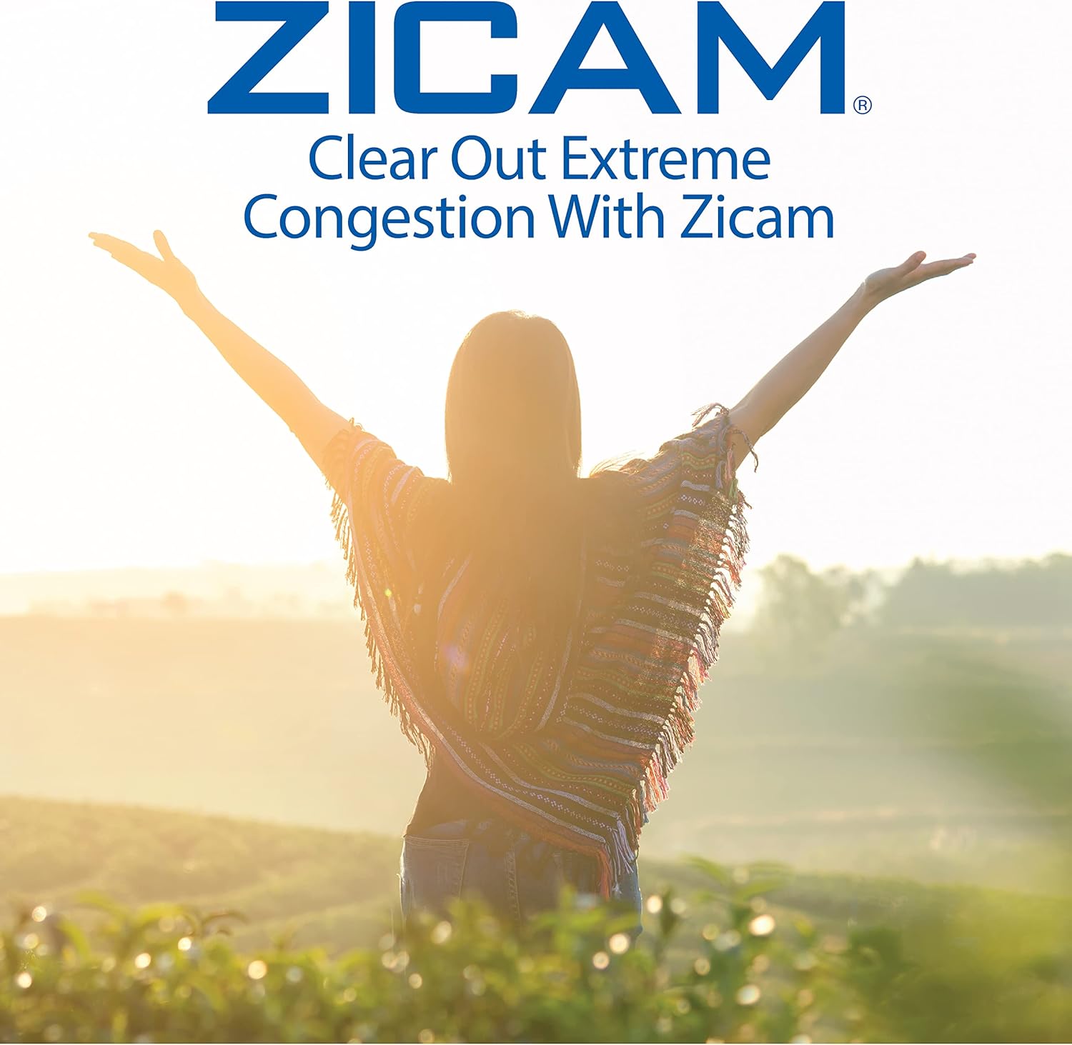 Zicam Extreme Congestion Relief No-Drip Liquid Nasal Spray with Soothing Aloe Vera, 0.5 Ounce (Pack of 2) : Everything Else