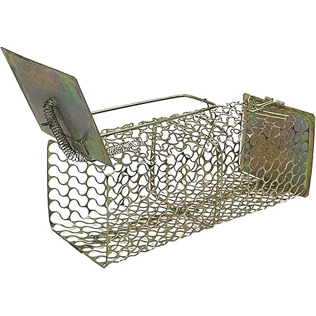 Krisah ® Rat/Mouse/Rodent Trap Cage Rustic Copper (1, Medium/20.5 X 8 X 8 cm)