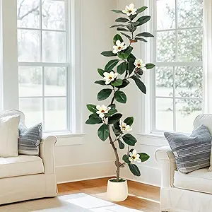 Rubber Tree 6FT Artificial Tree in White Planter Pot,Faux Plants Indoor Faux Floor Plant Artificial Plants with 7 Pcs Magnolia Flowers for Home Decor, Artificial Fiddle Leaf Fig Tree for Office