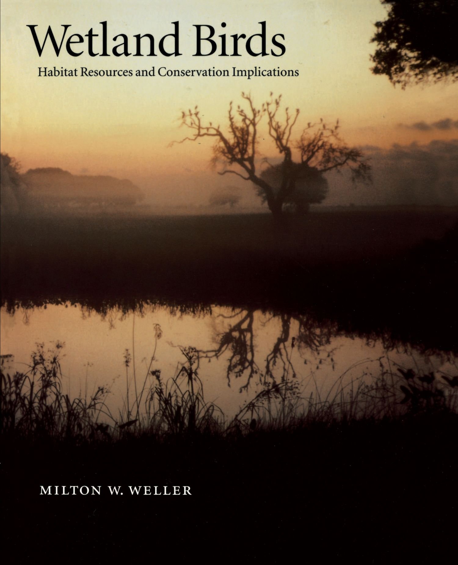 Wetland Birds: Habitat Resources and Conservation Implications