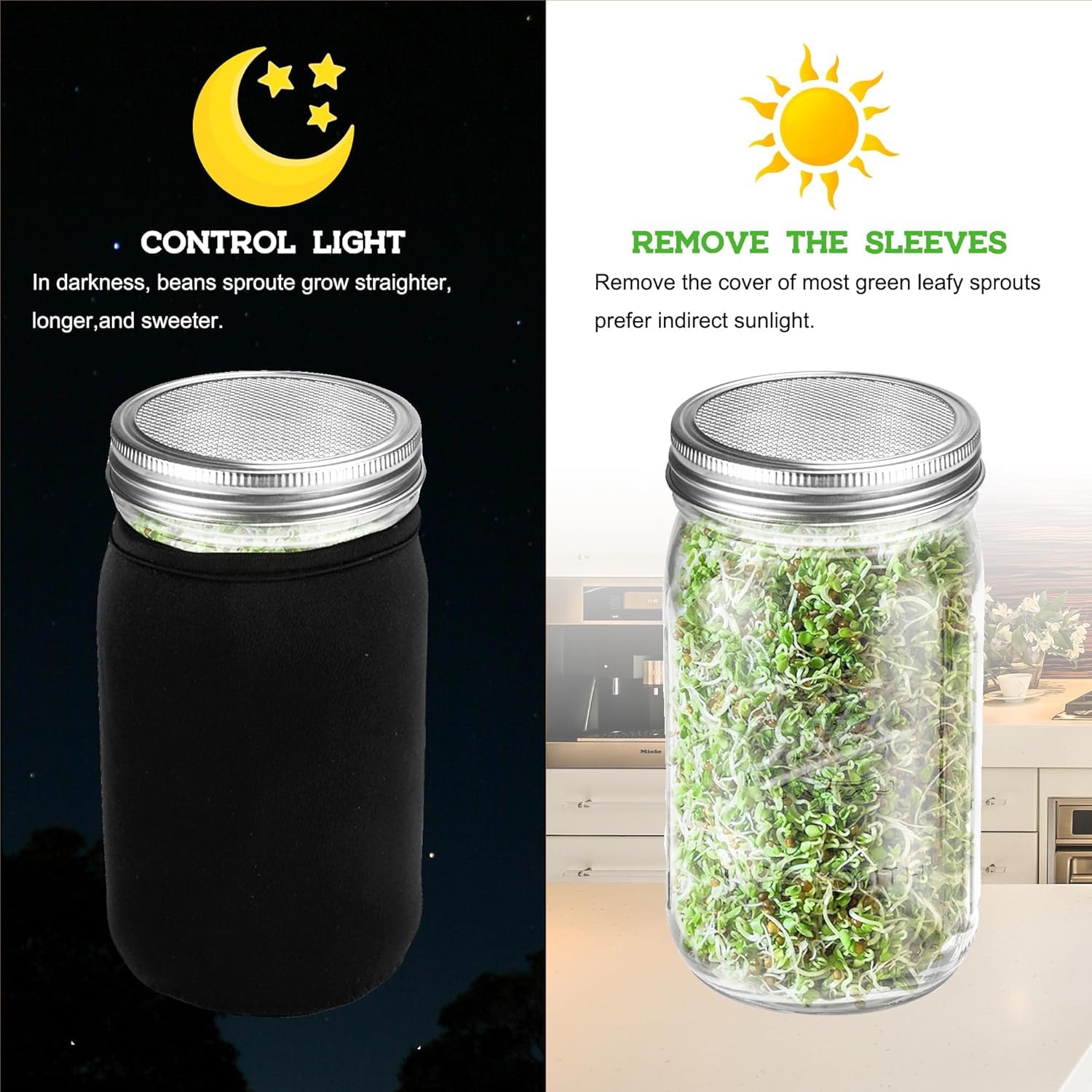 View 3