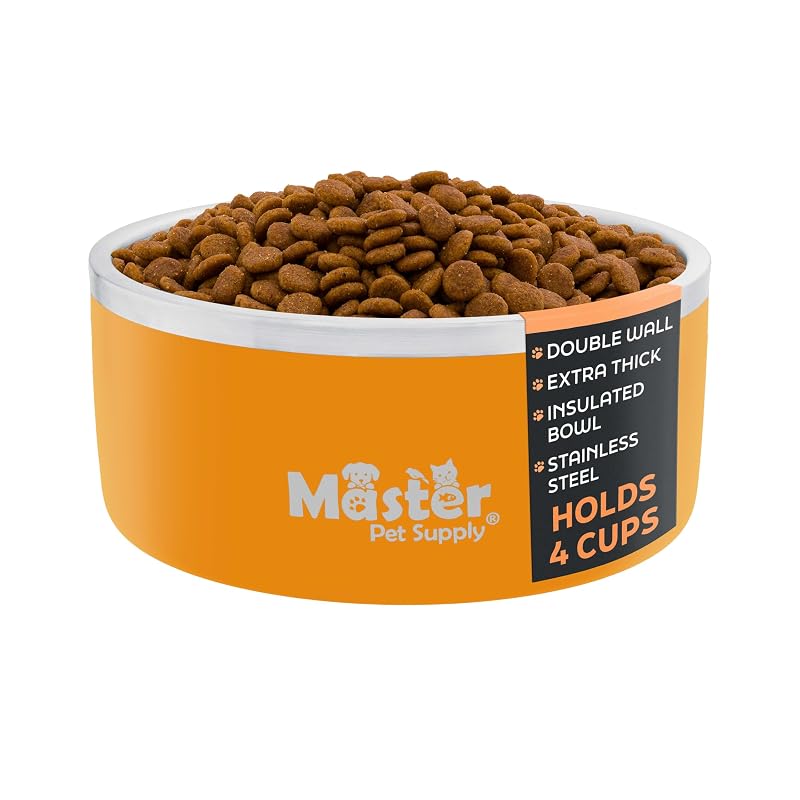 Tigela para viagem para cães em aço inoxidável Master Pet Supply Mango Tango 960 mL