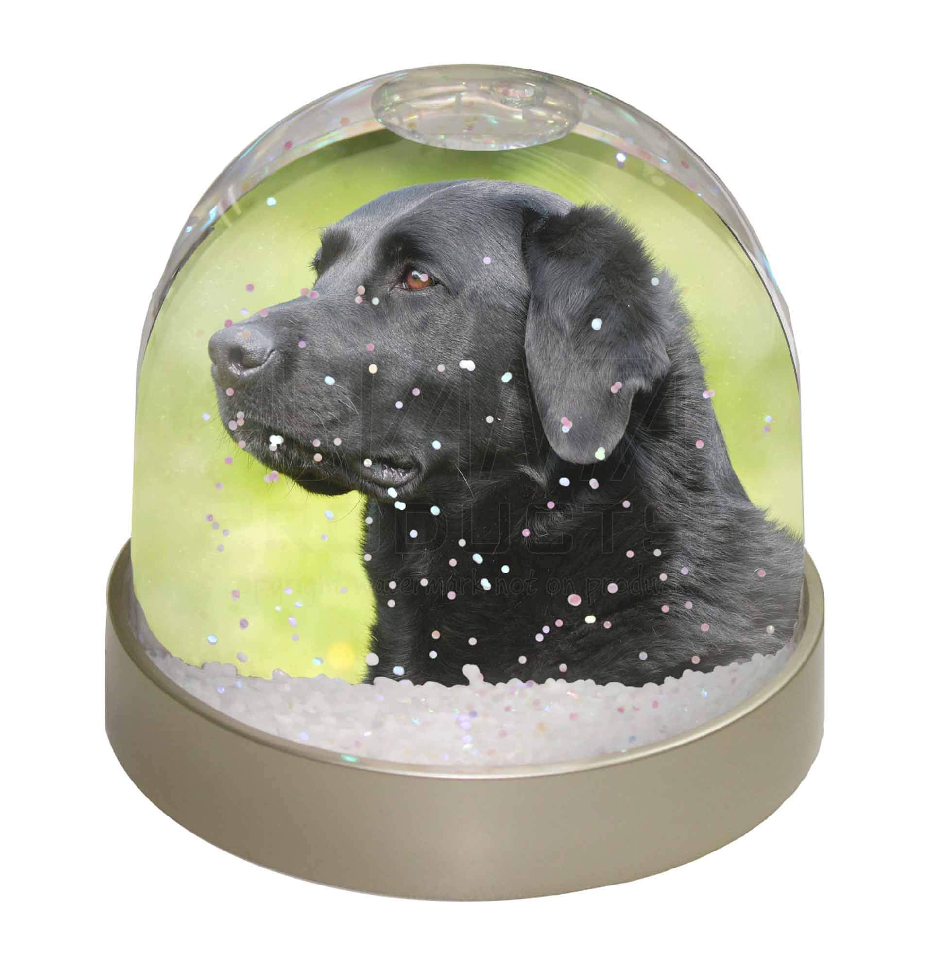 Advanta Group Black Labrador Dog Photo Snow Globe Waterball