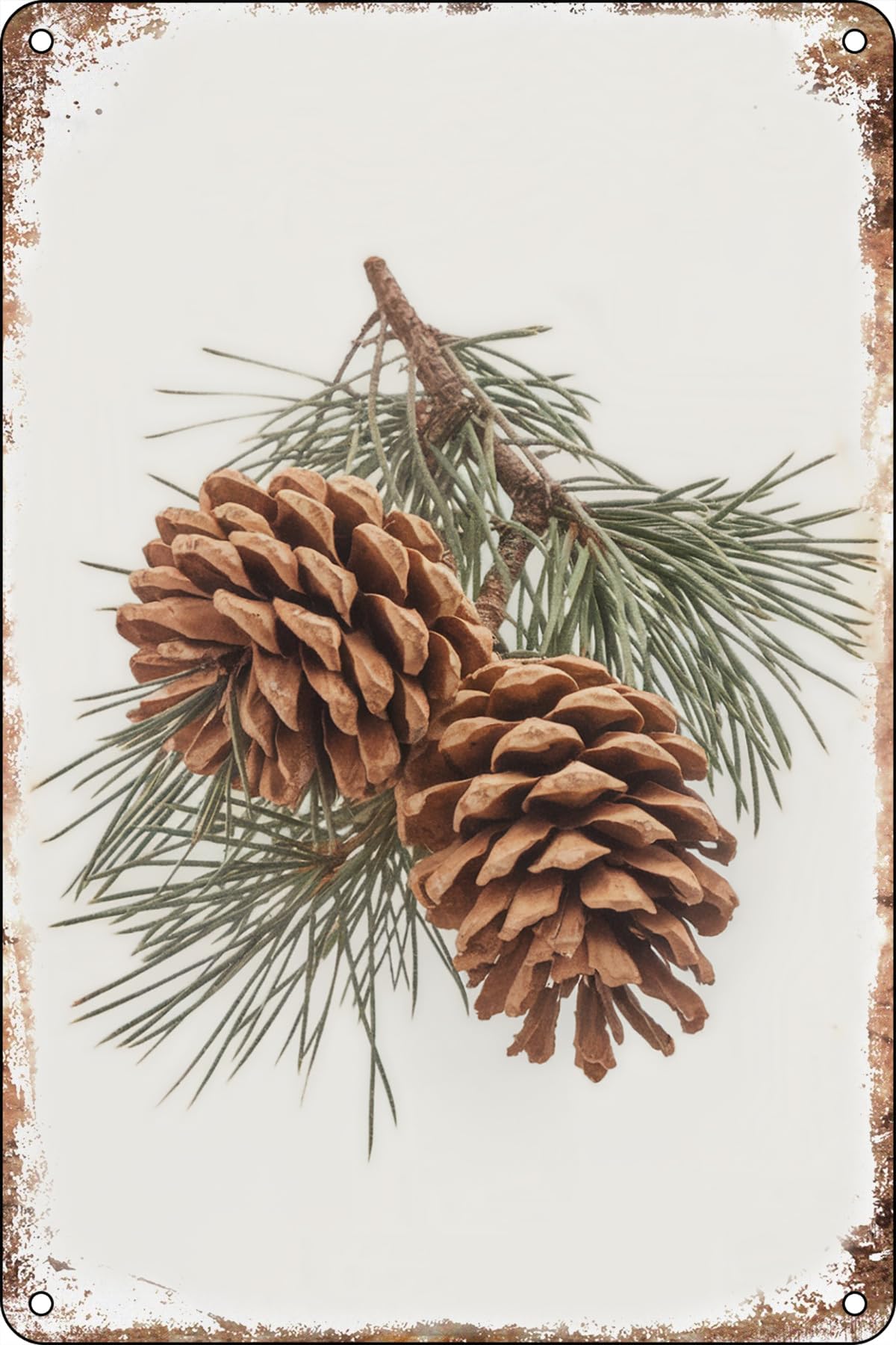 peiyeety Metal Tin Sign Pine Cones And Pine Branches Rustic Vintage Decorative Metal Wall Art Plaque For Home Cabin Living Room Bedroom Farmhouse Patio Office Wall Decor 6x8 Inch