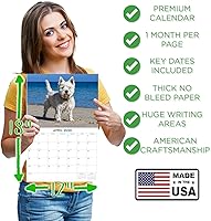 Vista 1376 de Razas de Perros 2017