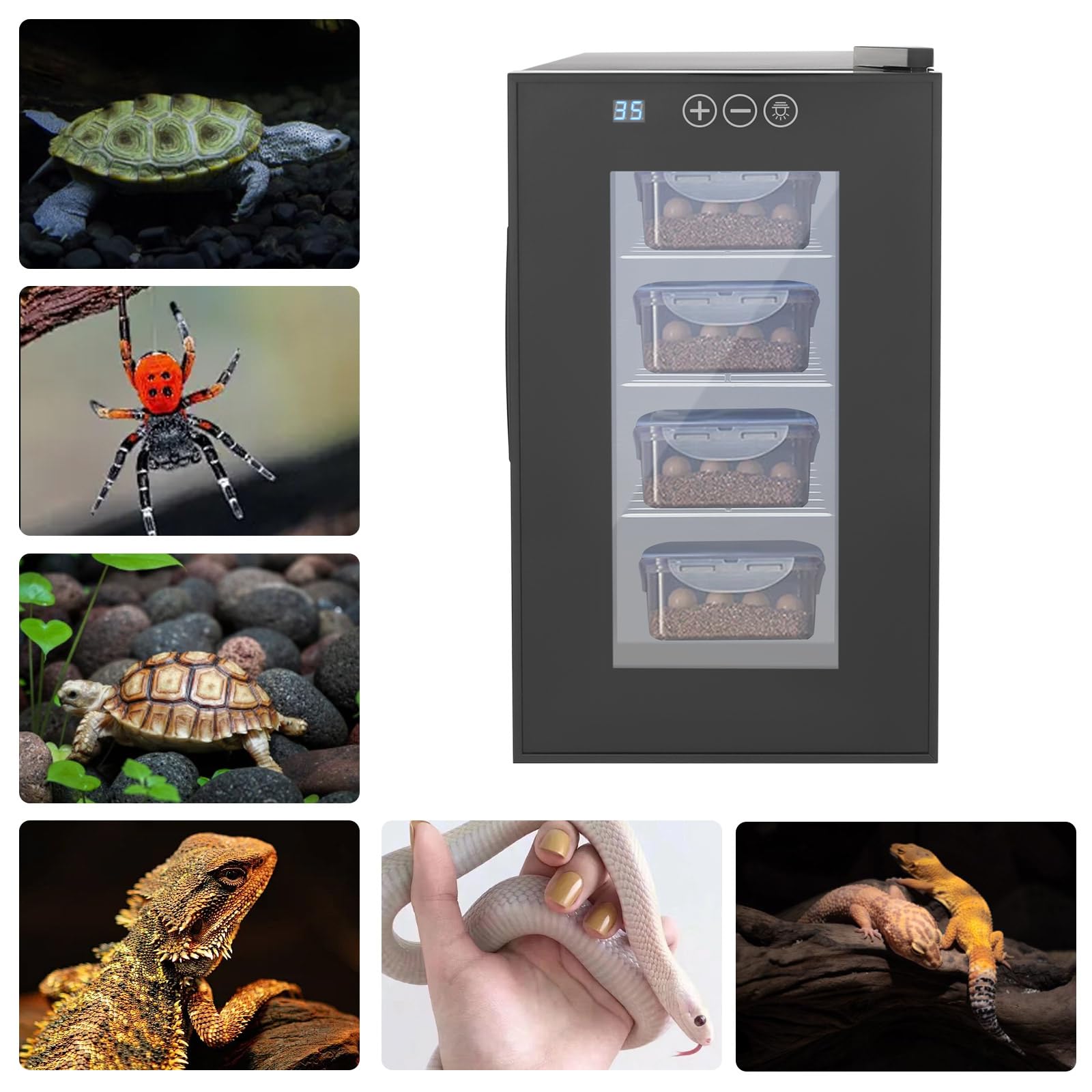 23L Reptile Incubator, Constant Temperature& Humidity Reptile Incubator, Intelligent Reptile Incubator, 10-40°C Precise Temperature Control for Small Reptiles