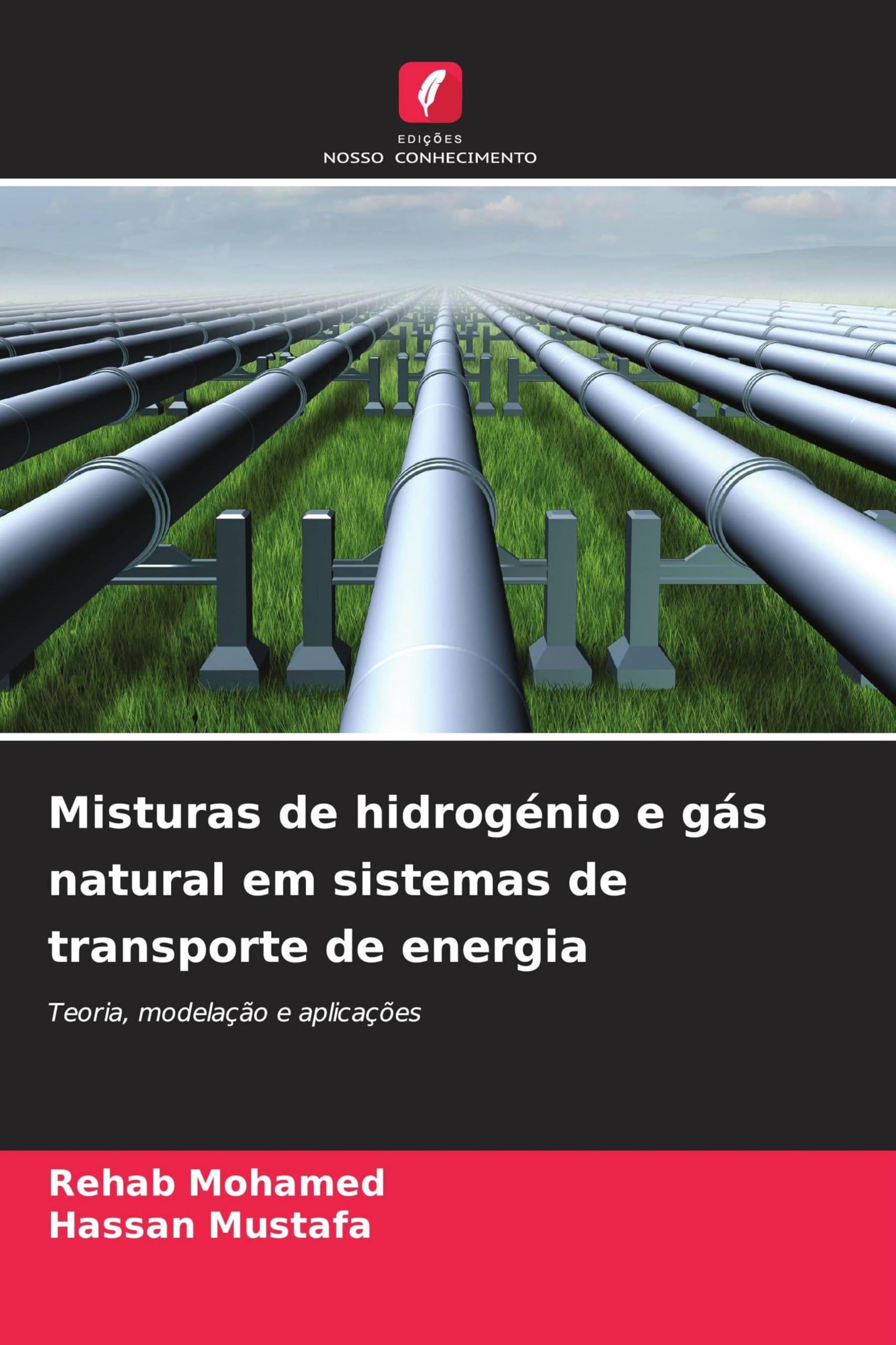 Misturas de hidrogénio e gás natural em sistemas de transporte de energia: Teoria, modelação e aplicações