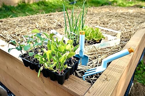 Miniatura 6 de Pajita orgánica de jardín 5 libras heno azul de montaña  mantillo de paja para jardines de cama elevada paisajismo de patio plantaciones de semillas