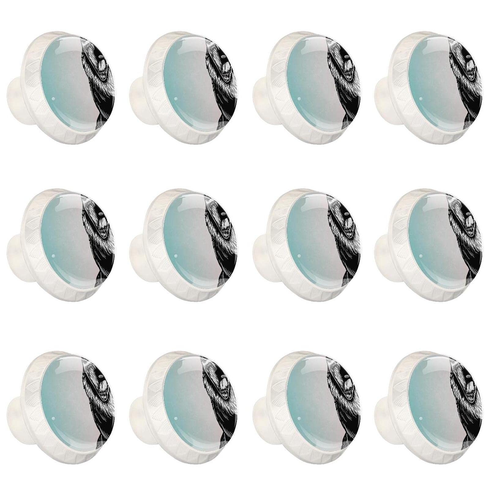Poignées boutons d'armoires de cuisine ronds ours pour réparer et embellir placard tiroir