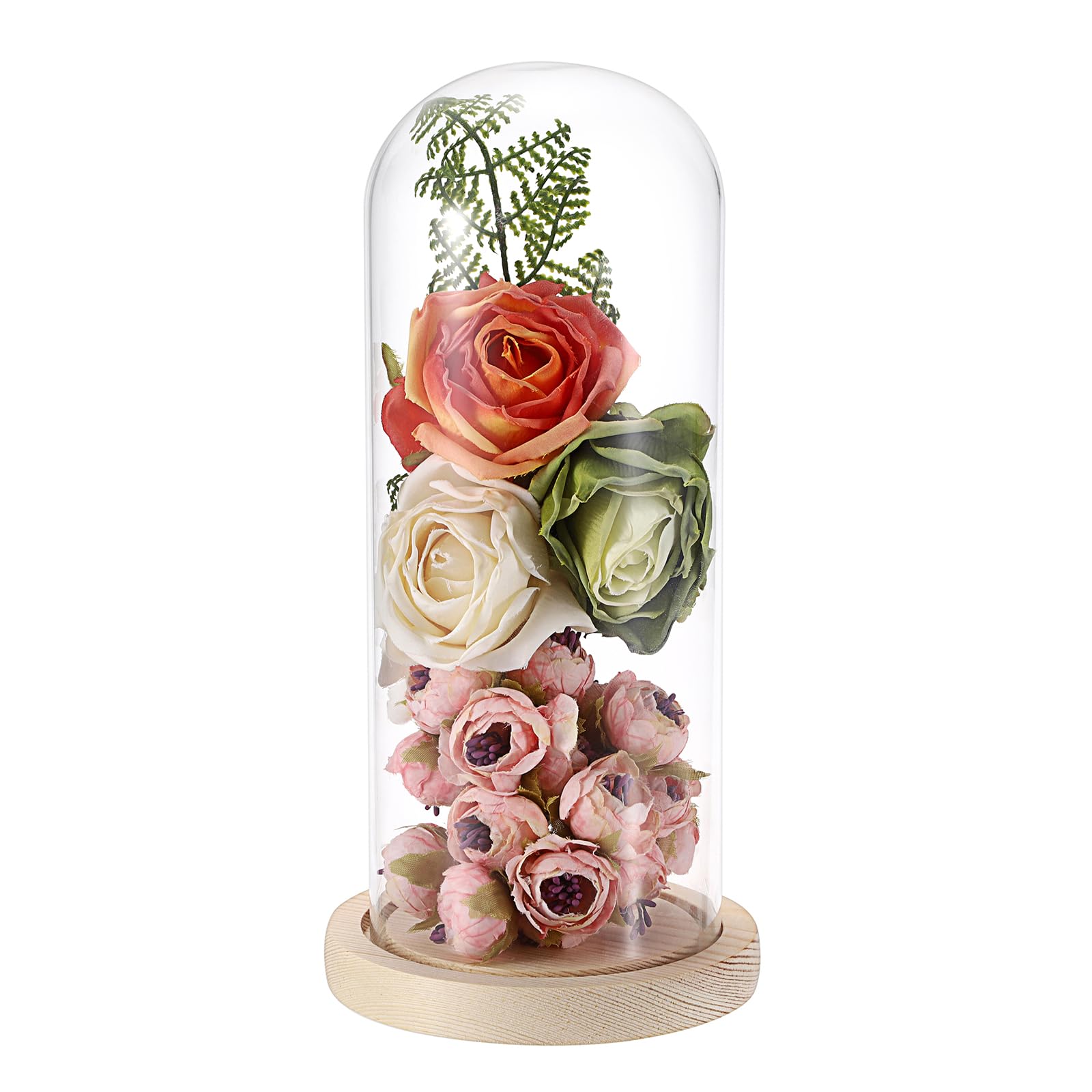 JUXYES Glass Display Dome Cloche with Solid Wood Base, Clear Glass Dome Cloche Bell Terrarium Jar Glass Cloche Bell Jar Display for Plants Collectible