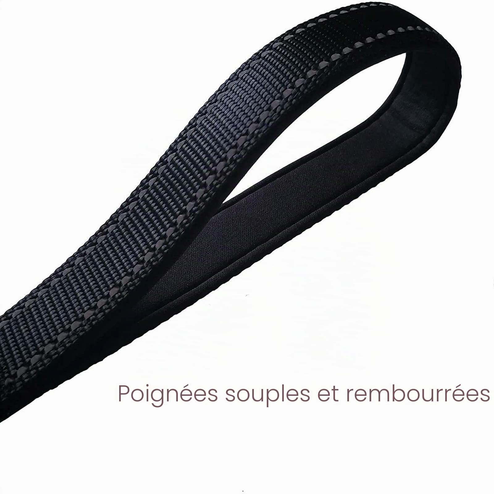 Laisse de Dressage à Double poignée de 1,5 mètre, contrôle de proximité, Laisse de sécurité pour Chiens de Grande et Moyenne Taille, Design réfléchissant