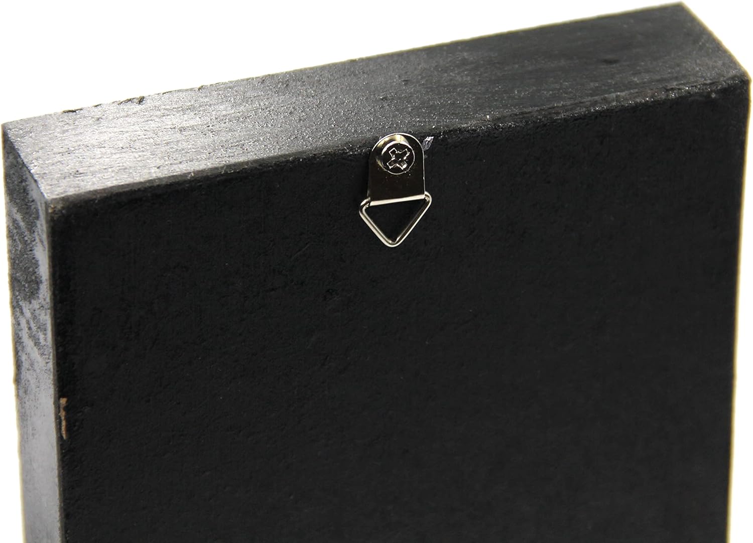 Real Centipede Millipede Scolopendra MORSITANS Taxidermy Insect in 3D Wooden Frame (White Background, Black Wooden Box)