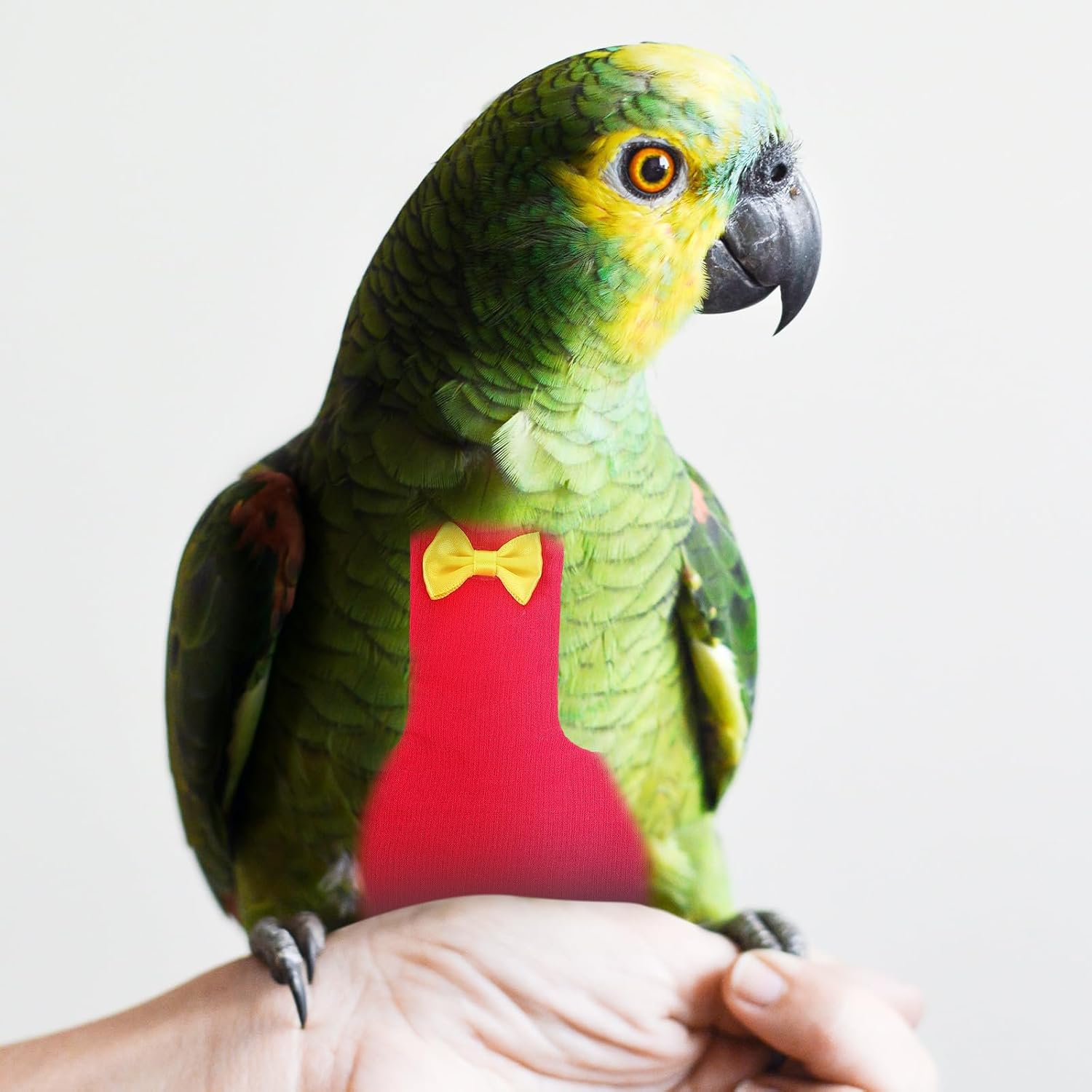 Bird Diaper Washable Breathable Flight Suit for Small Parrots and Pigeons, Reusable Parakeet Diapers with Padding, Size Small, Suitable for Outdoor Use and Cockatiels