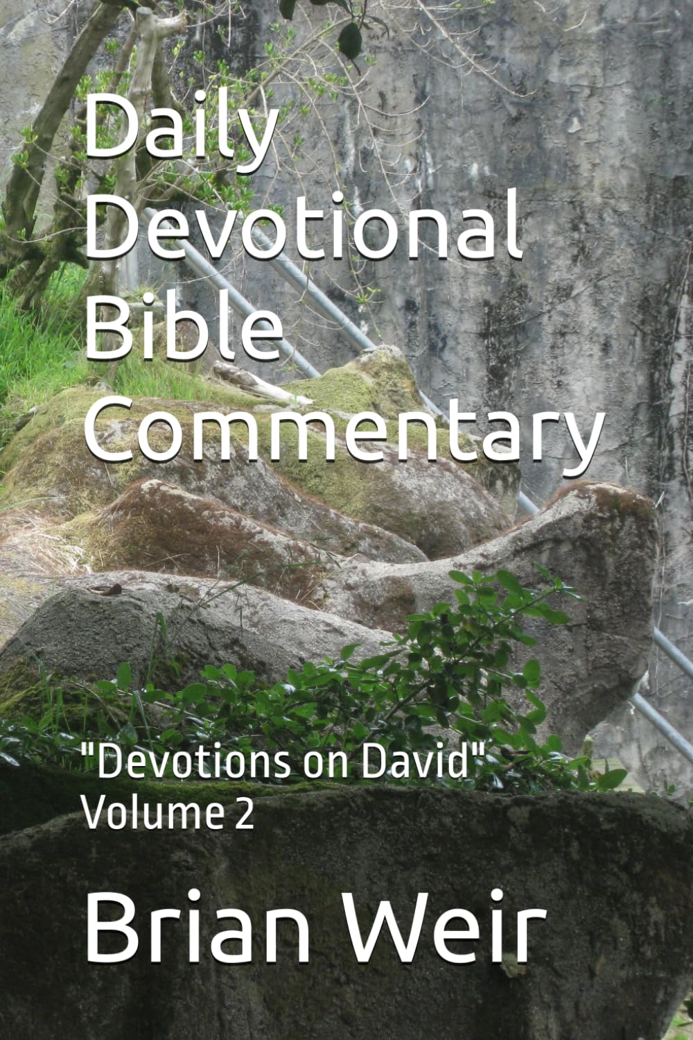 Daily Devotional Bible Commentary: "Devotions on David" Volume 2