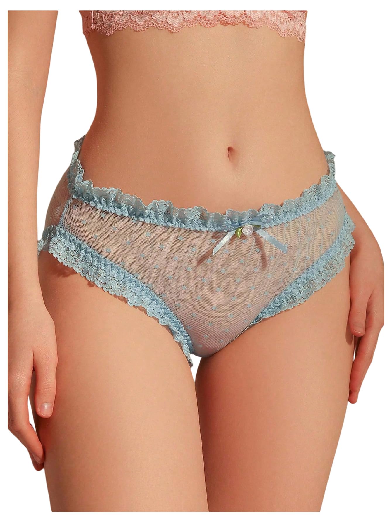 SHENHE Women's Sexy Lace Panty Sheer Mesh Bow Underwear Mid Rise Frilly Underwear