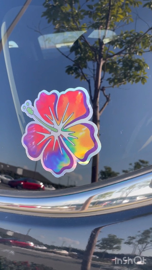 Hibiscus Flower Vinyl Decal Stickers - For Car, Van, Bike, Window, Bumper, Skateboard
