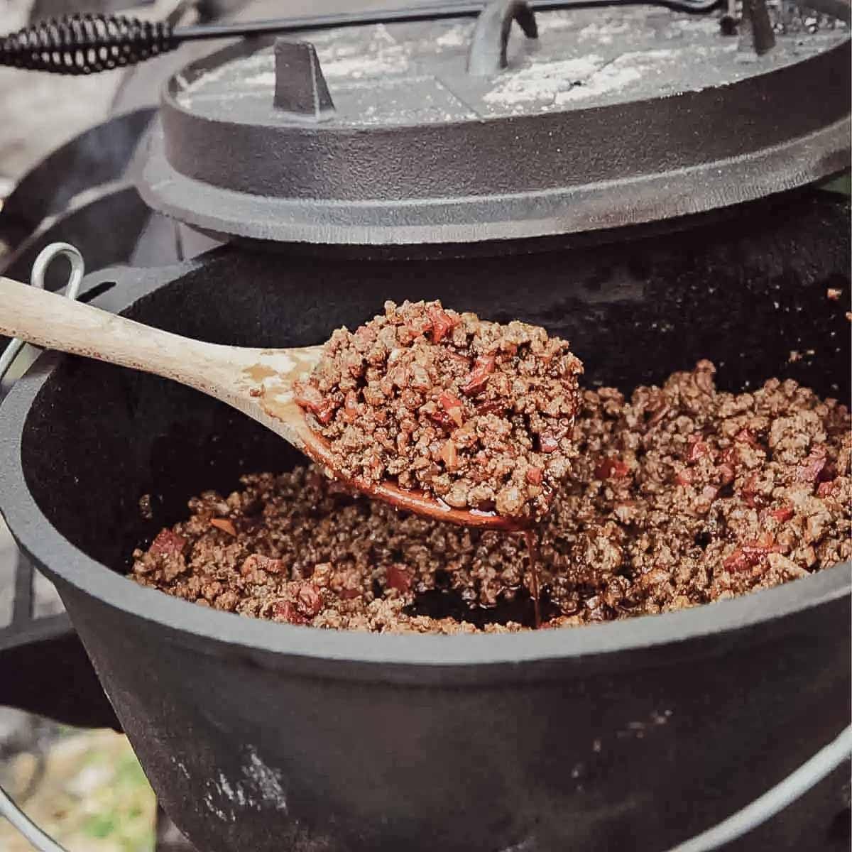 SANTOS Dutch Oven mit Deckel - inkl. Frittierkorb Ø 27,5 x9,5cm - 8,5 L/9 Qt Feuertopf - Gusseisen - ideal für Lagerfeuer, Feuerstelle, Kohle- oder Gas-Grill