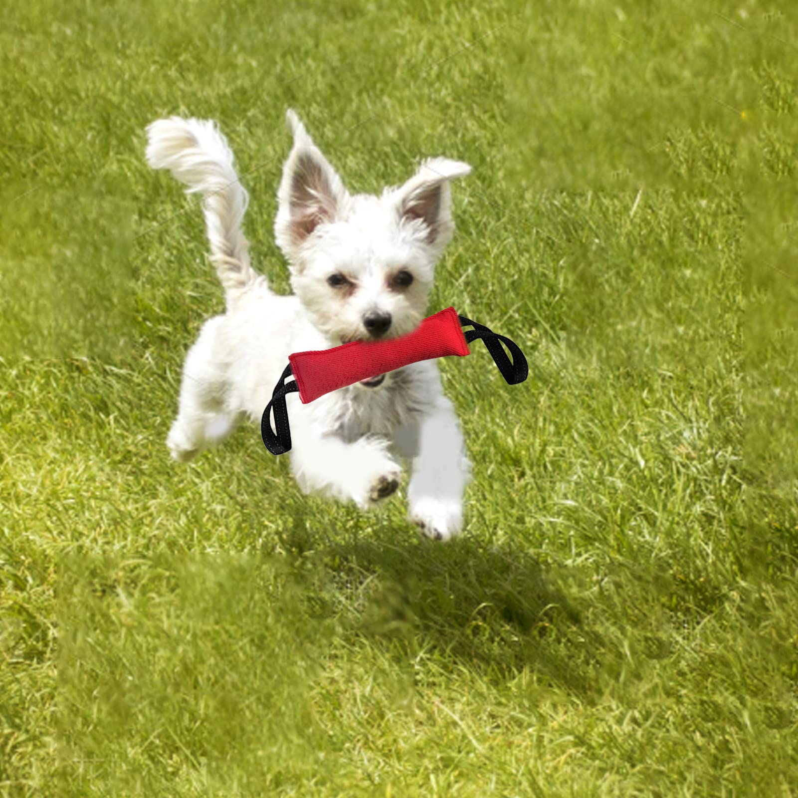DONGKER Hond Jute Bite Stick, Hondenbeet Sleepboot Speelgoed met Handl voor Medium Grote Honden