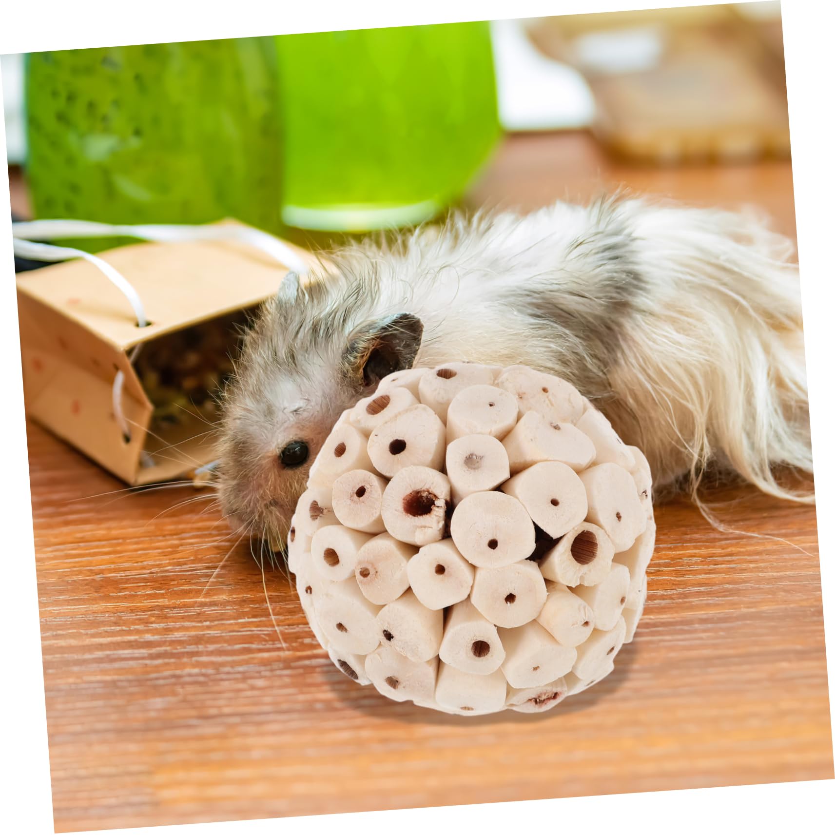 Beavorty 18pièces Jouets à Mâcher pour Oiseaux Et Petits Animaux pour Perruches Cochons Et Hamsters