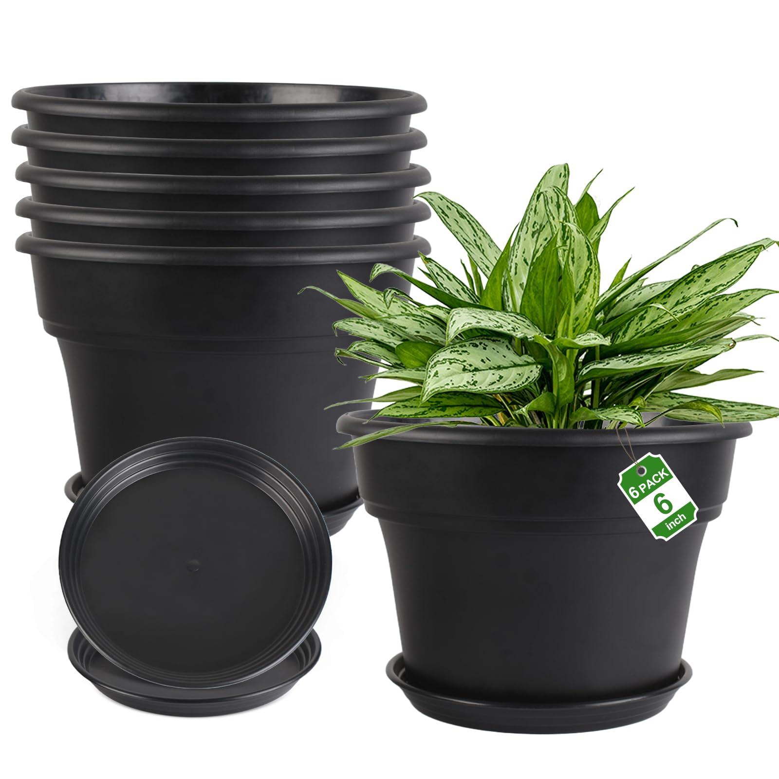 Myfeegoin 6-Pack Plastic Pots