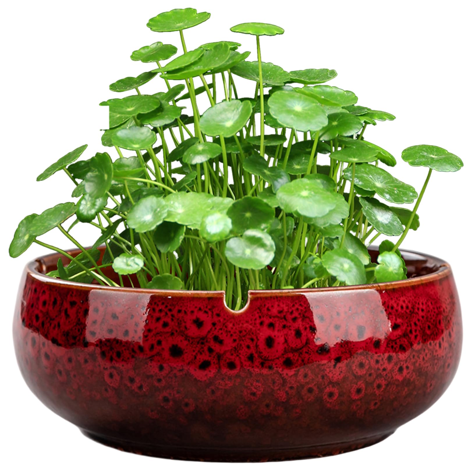Gcroet Red Ceramic Lotus Flower Bowl 6X2.5 Inch, Decorative Bowl Planter With Non-Slip Base, Bonsai Pots For Succulents And Indoor Plants,