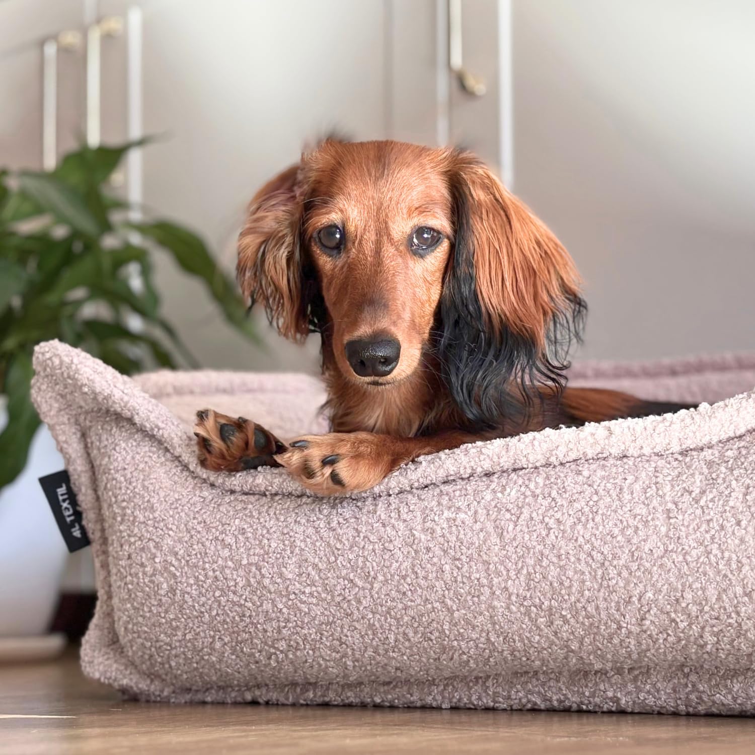 4L Textil Cama para perros de Bouclé Leo Premium-Line, ortopédica, mullida, con espuma viscoelástica (beis, 80 x 60 cm)
