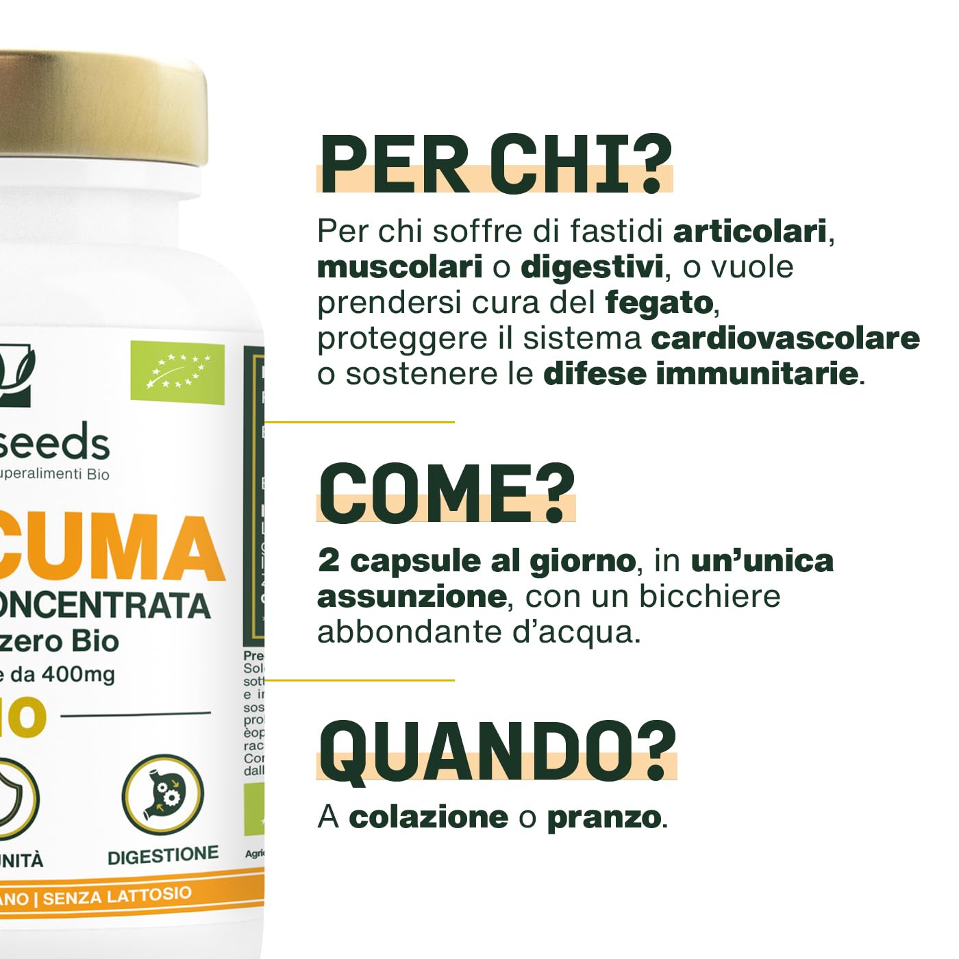 Curcuma BIO con Zenzero | Alta concentrazione, 95% di curcuminoidi | Curcumina Alto assorbimento | Riduce i dolori articolari | Senza piperina | 120 capsule | Qualità Superiore