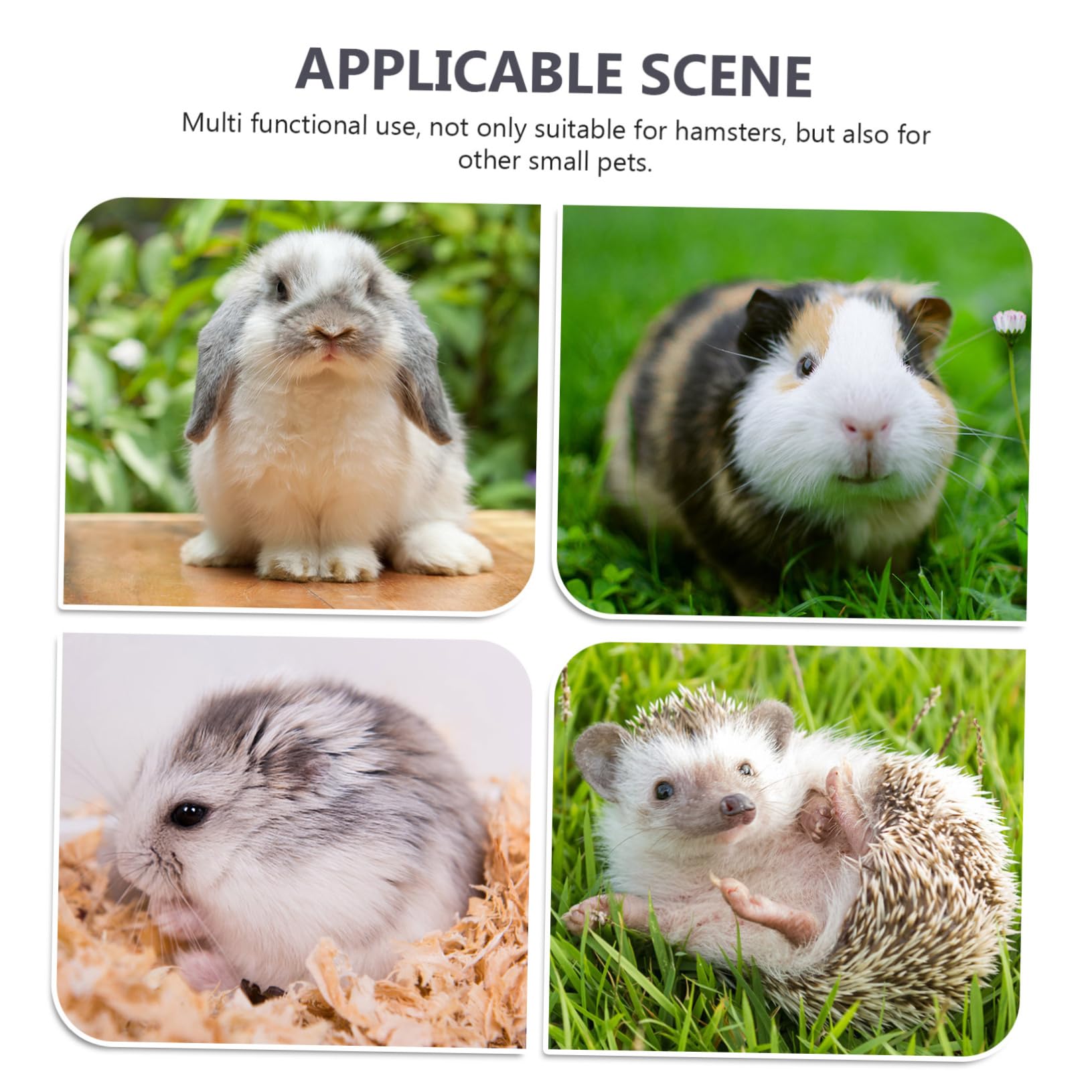 VANZACK Freezer for Pet Leakproof Reusable Cooling Plate Multipurpose Case Pet Drink Cake Fruit Storage Safe Plastic Material