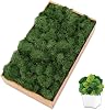 Preserved 7 OZ Dark Green Reindeer Moss for Potted Plants,Craft Decor for Wall Art,Fake Moss for DIY Decorative7OZ, Dark Green