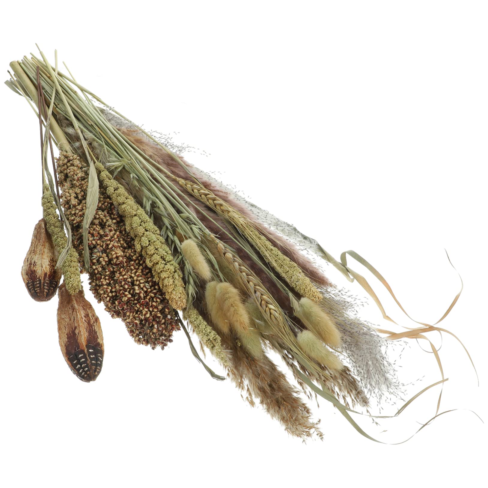 Abaodam 2pezzi Bouquet Di Pampa Essiccati Naturali Per Decorazioni Domestiche Composizioni Floreali Dried Broomcorn Per Matrimoni e Eventi Adatti Stili Boho e Rustici