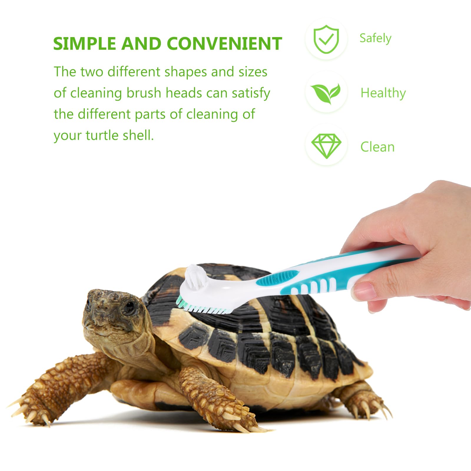 BESPORTBLE Turtle Shell Cleaning Brush - Image 2
