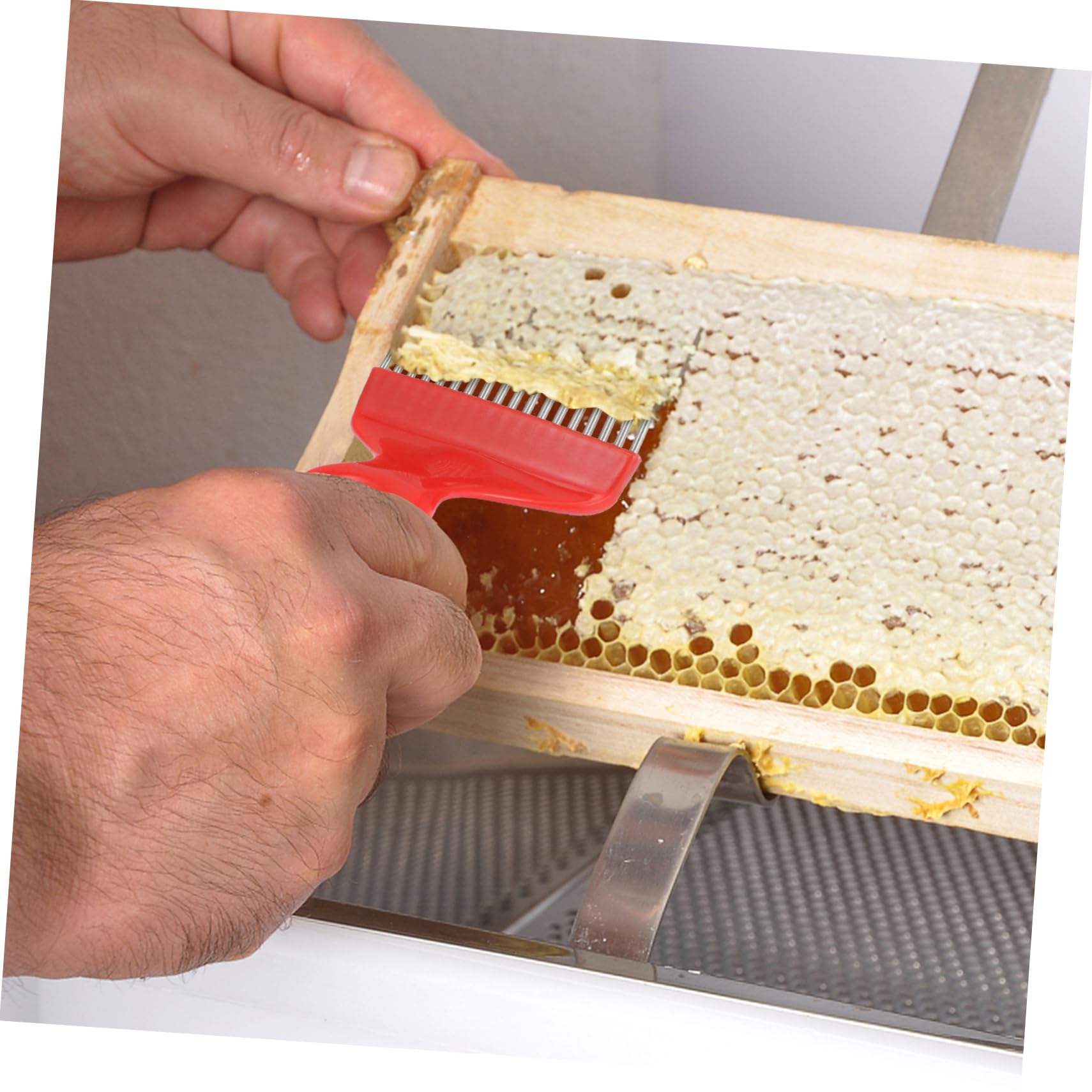 BESPORTBLE 1set Inossidabile Per Apicoltura Utensili Pratici Per Apicoltori Completo e Facile Da Riporre Per Esigenza Apicoltura