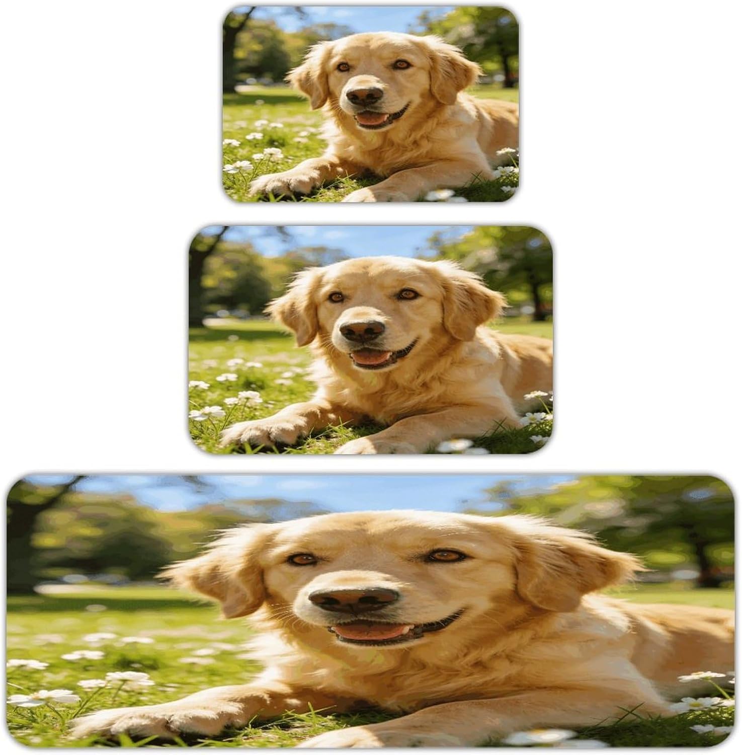 Colorful Animals Kitchen Rugs Sets of 3 Non Slip Kitchen Mat for Floor Comfort Standing Rug and Mats Thick Cushioned Long Area Carpets for Laundry Room Entryway