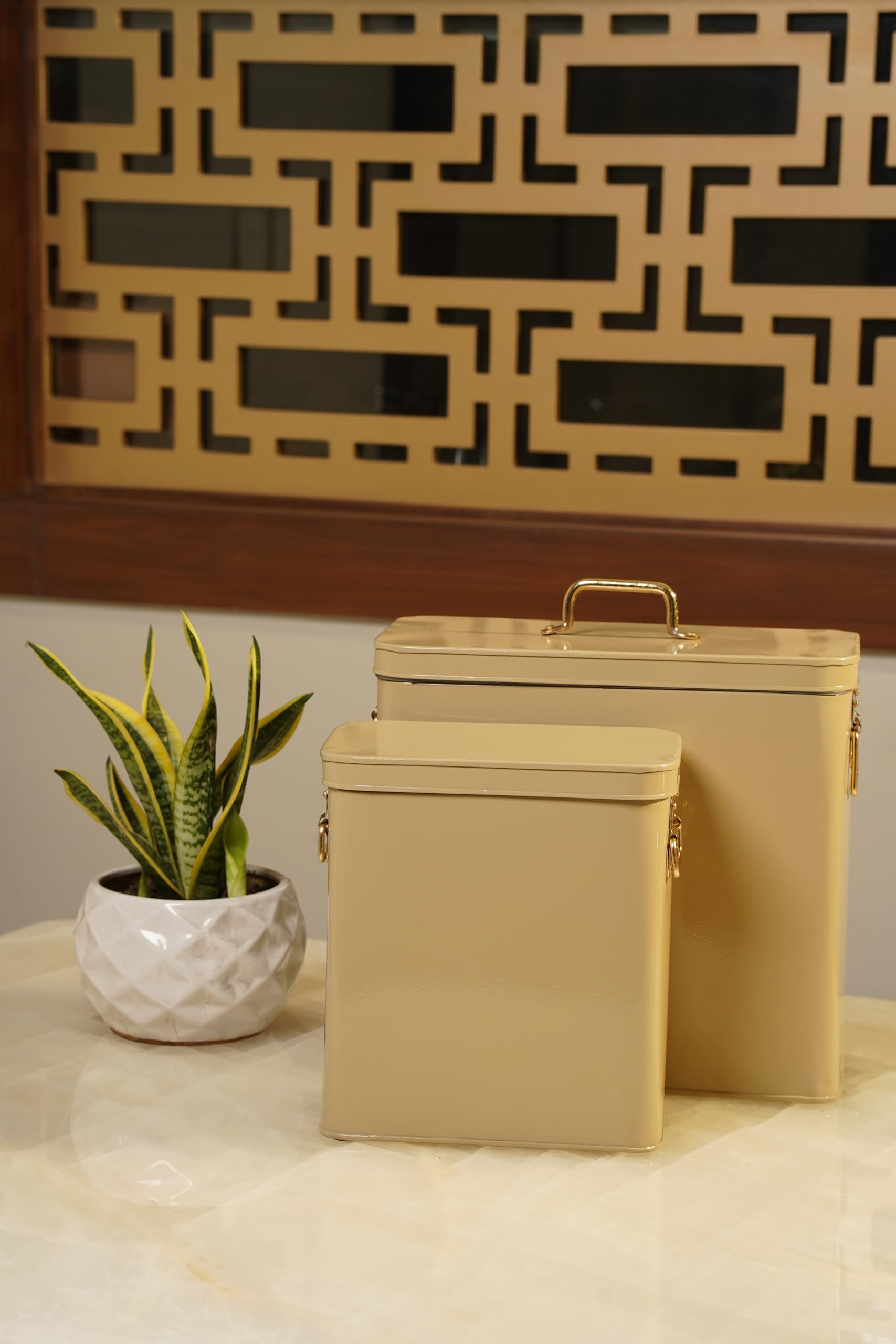 Stylish Tall Canister | Elegant & Durable Kitchen Storage Container for Snacks, Dry Fruits, Tea, Coffee | Modern Design with Premium Finish for Home & Kitchen (Gold, Small)