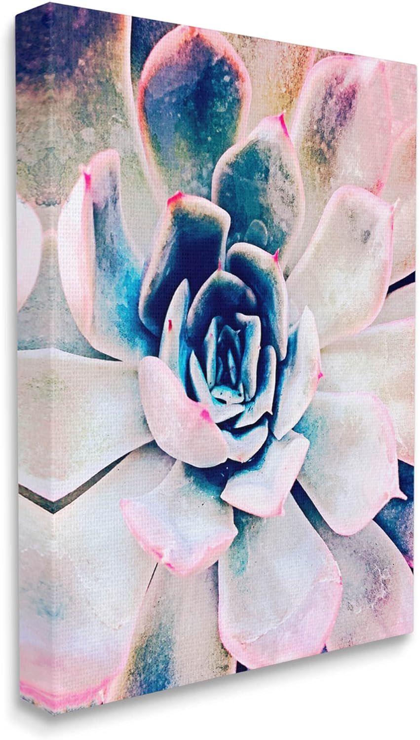 Stupell Industries Modern Succulent Plant View Canvas Wall Art, Design by Irena Orlov