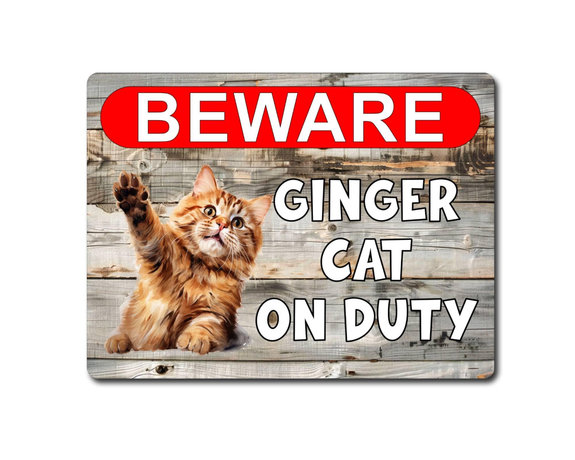 Decalarama Cat Metal Sign Gift – Beware Ginger Cat On Duty - Cute Fun Kitten Novelty Animal Aluminium Present