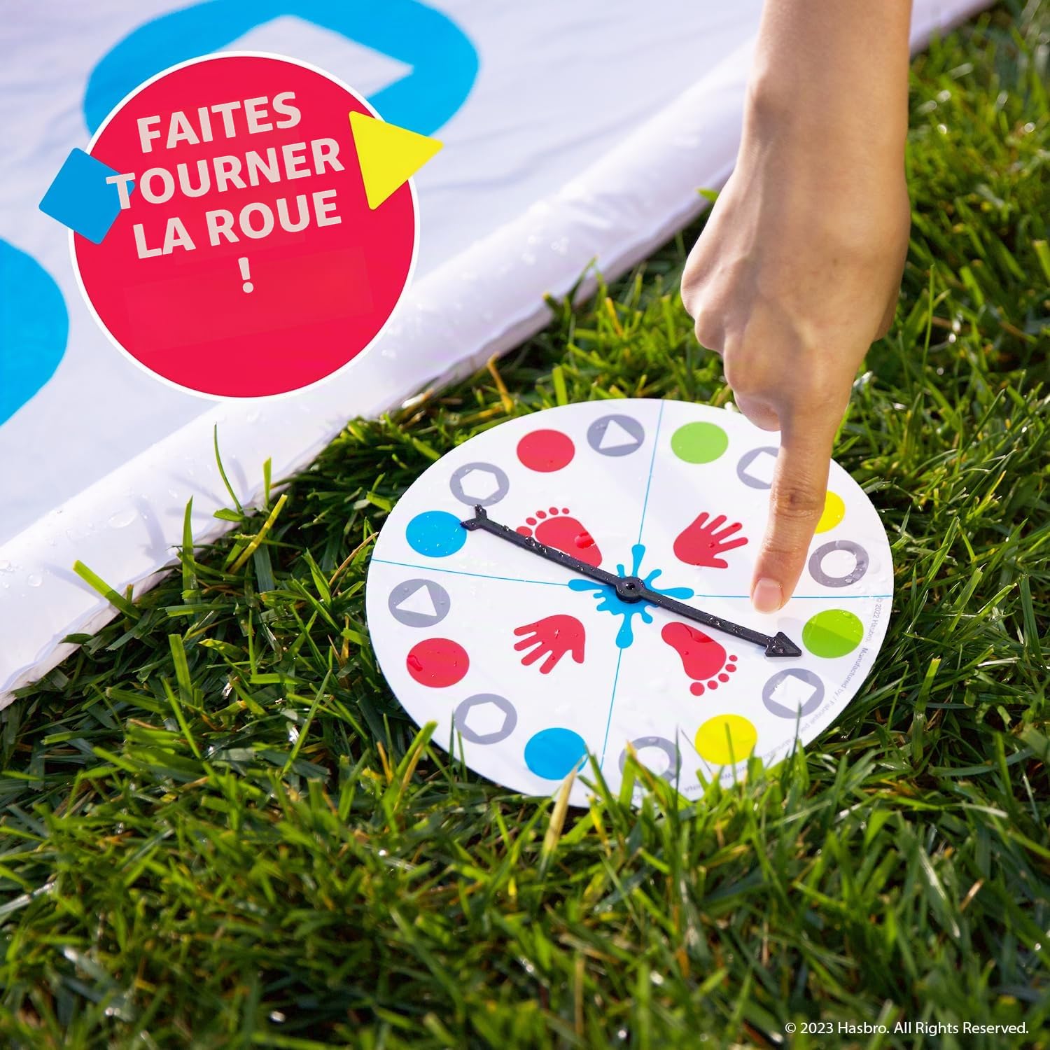How to Play Lawn Twister - A Garden Diary
