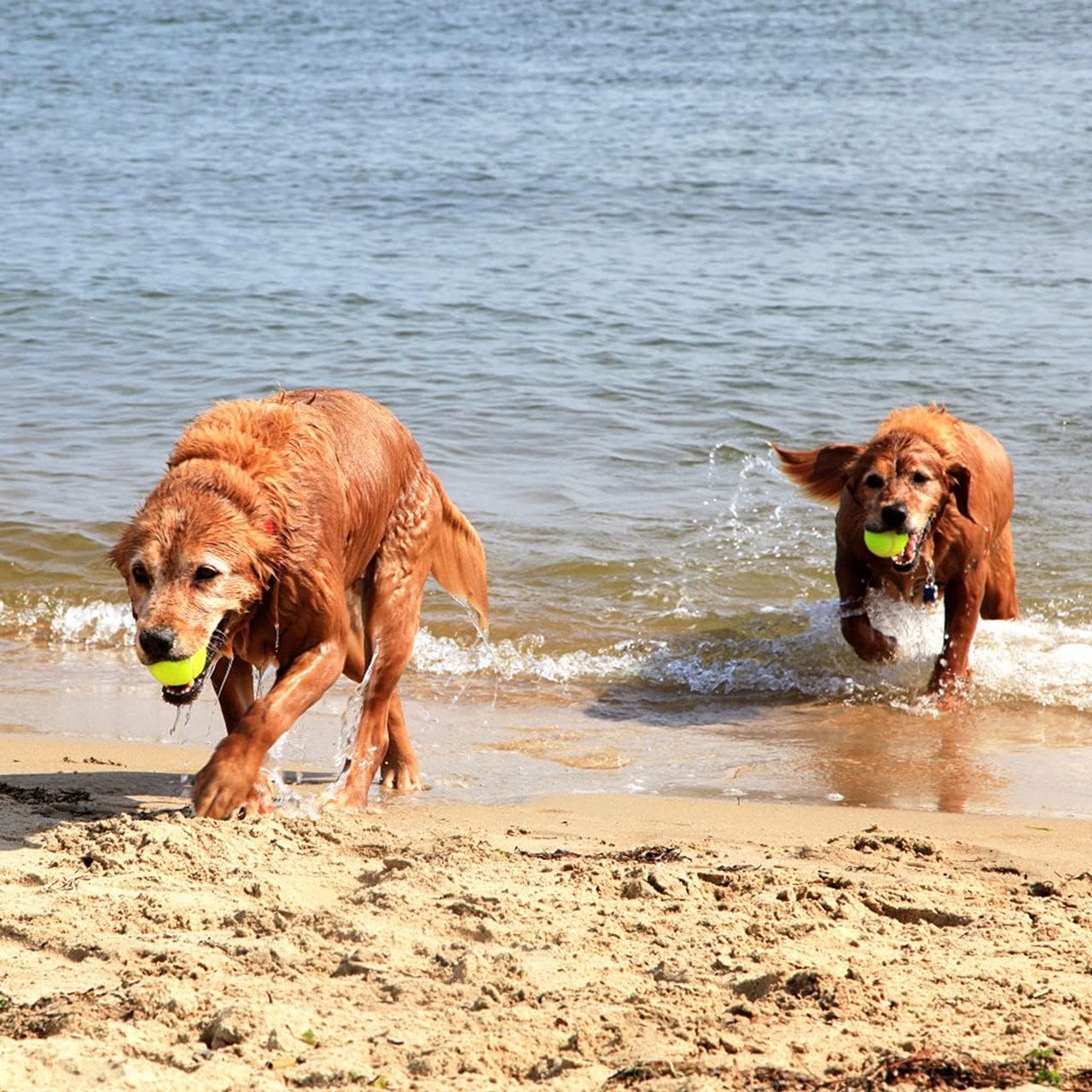 Tennis Balls 3 Pack High Resilience Durable Tennis Practice Ball for School Club Competition Training Exercises,Yellow,KT-80 : Sports & Outdoors