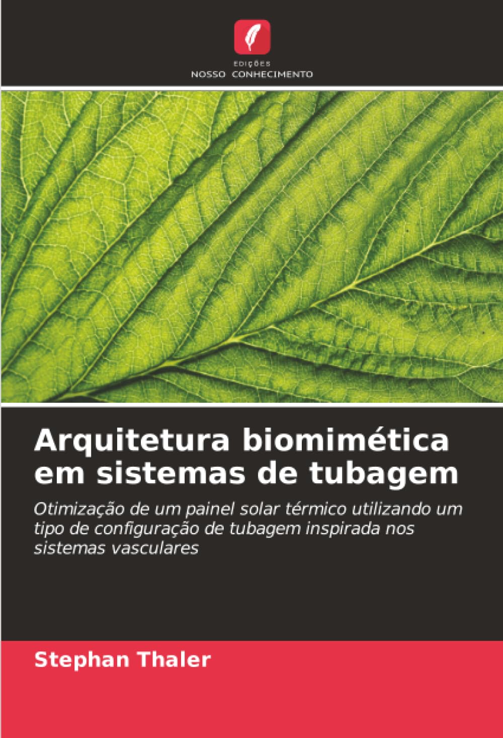 Arquitetura biomimética em sistemas de tubagem: Otimização de um painel solar térmico utilizando um tipo de configuração de tubagem inspirada nos sistemas vasculares