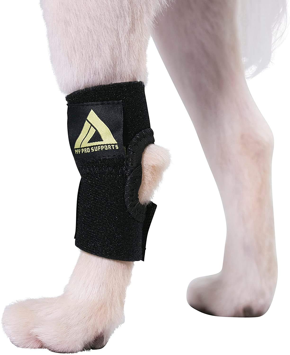 Buy Dog Canine Rear Leg Hock Joint Wrap Protects Wounds as They Heal