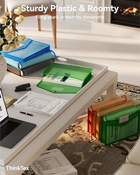 ThinkTex Plastic Expanding File Folder, Transparent envelopes with Snap