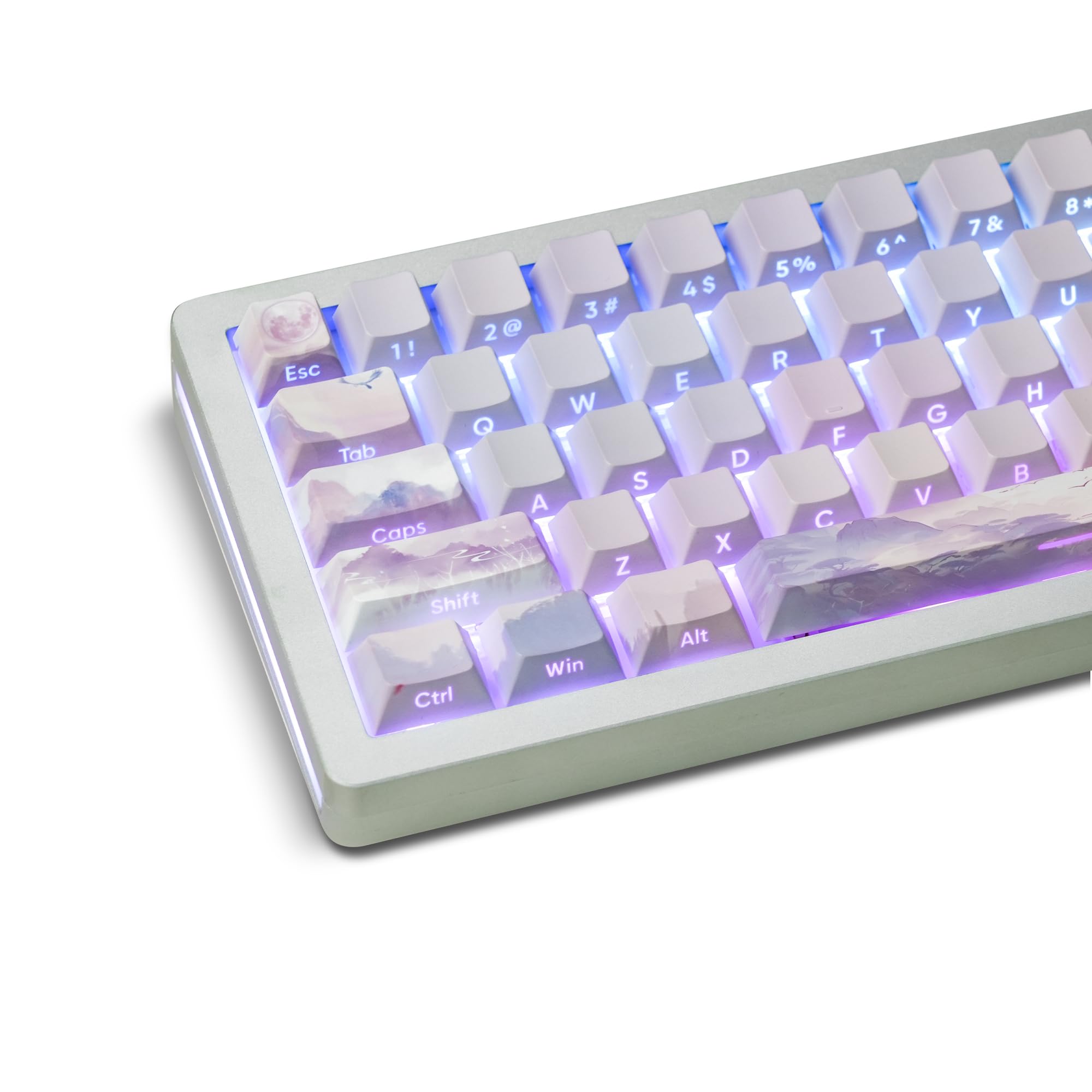 PBT Double Shot keycaps Set,Side Printed/Shine Throug keycaps,Cherry Profile keycaps,dye-sub keycaps for Gateron Kailh Cherry MX Switches Mechanical Keyboards caps(130key,only keycaps)