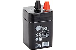 Interstate Batteries Rechargeable 6 Volt Batteries